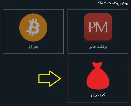 آموزش خرید با کیف پول هلوگیت